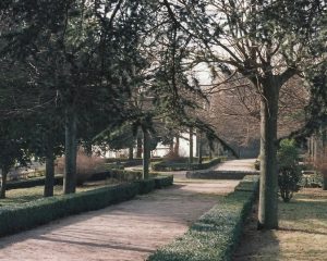 giardini montefiascone