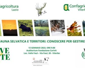 Save the date_ Fauna selvatica (1)
